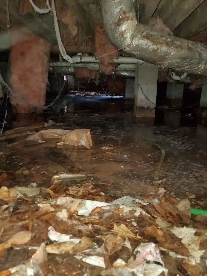 Crawl space flood assessment for Commercial Water Damage Restoration in Ocean Springs